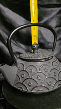 Load image into Gallery viewer, New Old Stock Cast Iron Tetsubin Teapot | Silver-Black Textured Floral Relief | Enamel Interior | Traditional Japanese Design | Pristine Unused Condition