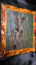 将图片加载到图库查看器,Rustic Cedar Loon Wildlife Wall Art Live Edge Wood Plaque Epoxy Finish