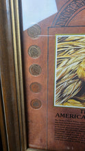 Load image into Gallery viewer, Framed Indian Head Penny Collection The American Indian 1901–1907 Coin Set
