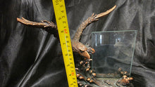 Load image into Gallery viewer, Bronze Finish Bald Eagle Waves of Freedom 4x6 Photo Frame Sculpture
