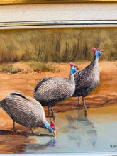 Load image into Gallery viewer, Vintage Thomas Hacking Original Oil Painting of Guineafowl at Watering Hole – Framed Wildlife Art
