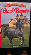 将图片加载到图库查看器，Black Beauty: Treasury of Illustrated Classics - Hardcover by Anna Sewell (2004, Like New)
