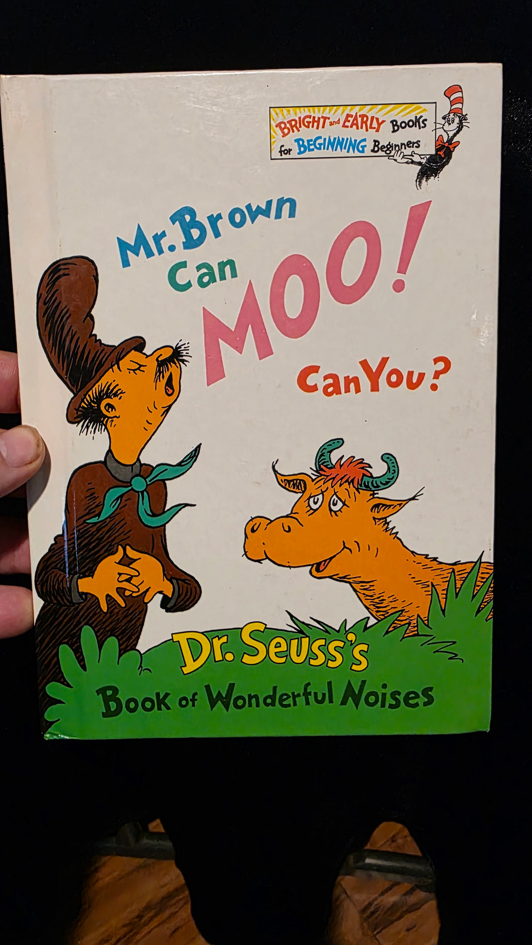 Vintage 1970 Dr. Seuss 