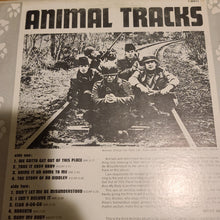 将图片加载到图库查看器，The Animals Animal Tracks original Vinyl
