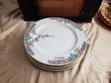Load image into Gallery viewer, Royal Bavarian Kutschenreuther dinner plates
